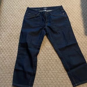 Ann Taylor LOFT modern crop jeans